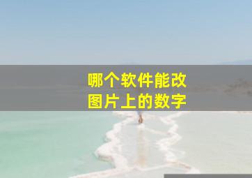 哪个软件能改图片上的数字