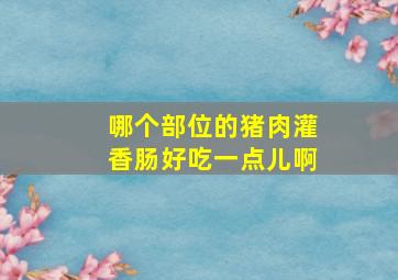 哪个部位的猪肉灌香肠好吃一点儿啊