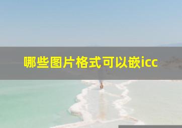 哪些图片格式可以嵌icc