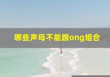 哪些声母不能跟ong组合