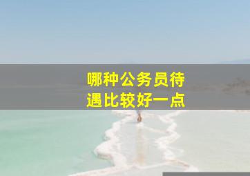 哪种公务员待遇比较好一点