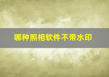 哪种照相软件不带水印