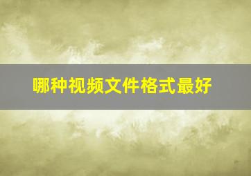 哪种视频文件格式最好