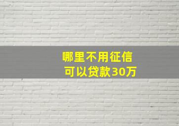 哪里不用征信可以贷款30万