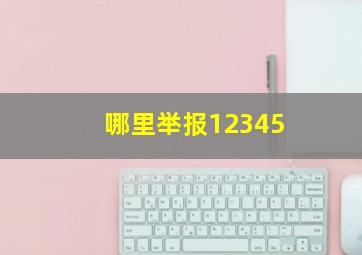 哪里举报12345