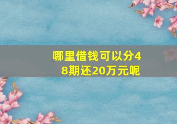 哪里借钱可以分48期还20万元呢