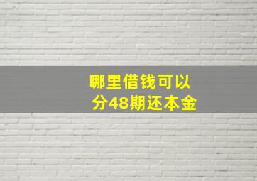 哪里借钱可以分48期还本金