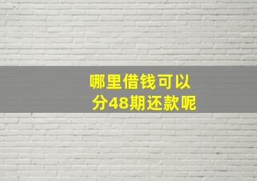 哪里借钱可以分48期还款呢