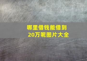 哪里借钱能借到20万呢图片大全