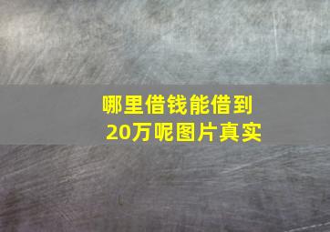 哪里借钱能借到20万呢图片真实