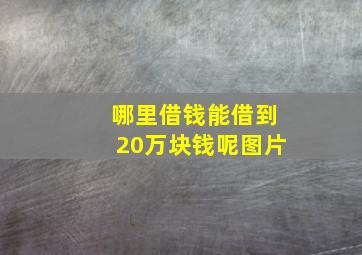 哪里借钱能借到20万块钱呢图片