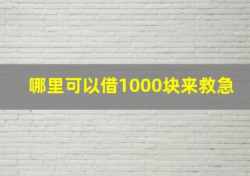 哪里可以借1000块来救急