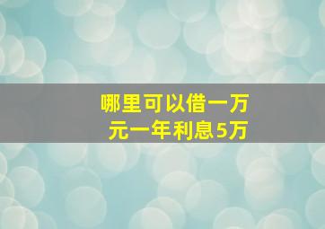 哪里可以借一万元一年利息5万