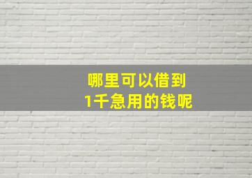 哪里可以借到1千急用的钱呢