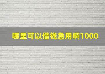 哪里可以借钱急用啊1000