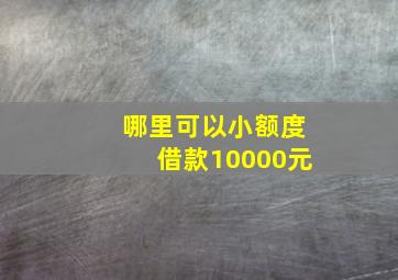 哪里可以小额度借款10000元