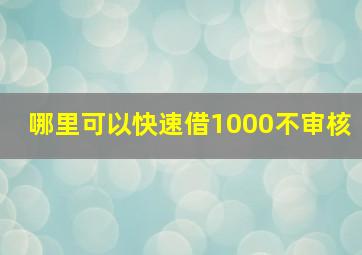 哪里可以快速借1000不审核