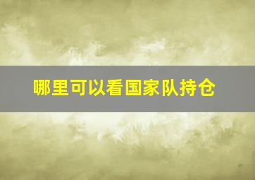 哪里可以看国家队持仓