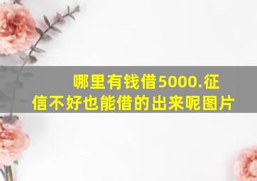 哪里有钱借5000.征信不好也能借的出来呢图片