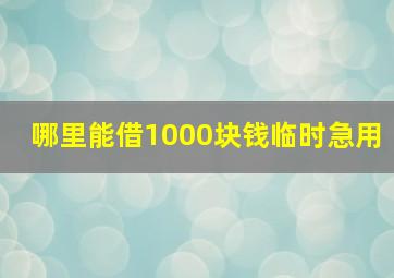 哪里能借1000块钱临时急用