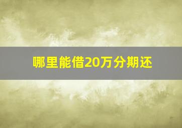 哪里能借20万分期还