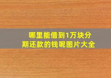 哪里能借到1万块分期还款的钱呢图片大全