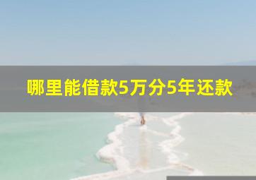 哪里能借款5万分5年还款