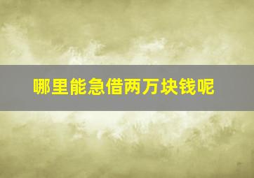 哪里能急借两万块钱呢