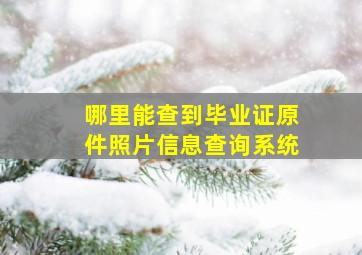 哪里能查到毕业证原件照片信息查询系统