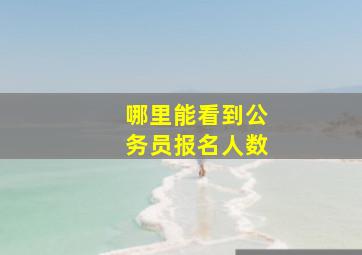 哪里能看到公务员报名人数