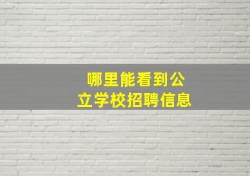 哪里能看到公立学校招聘信息