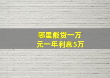 哪里能贷一万元一年利息5万