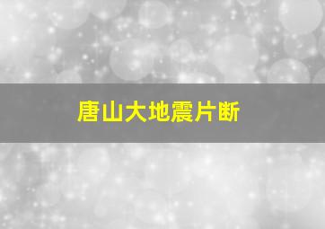 唐山大地震片断