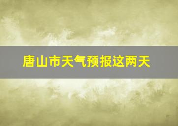 唐山市天气预报这两天