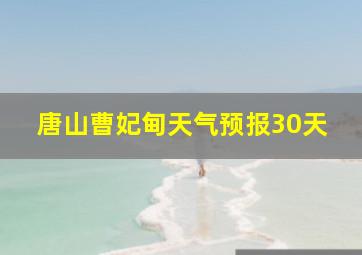 唐山曹妃甸天气预报30天