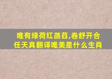 唯有绿荷红菡萏,卷舒开合任天真翻译唯美是什么生肖