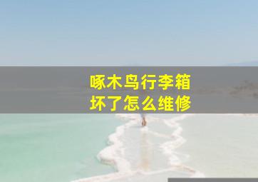 啄木鸟行李箱坏了怎么维修