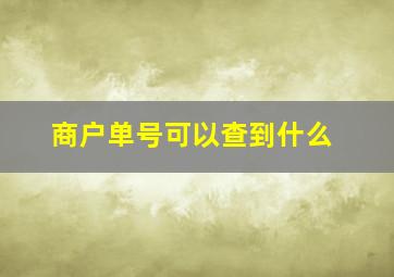 商户单号可以查到什么