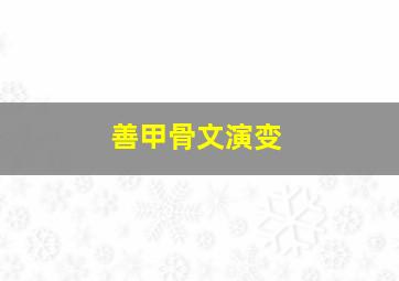 善甲骨文演变