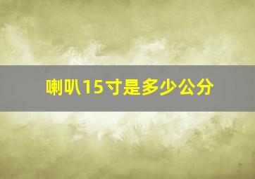 喇叭15寸是多少公分