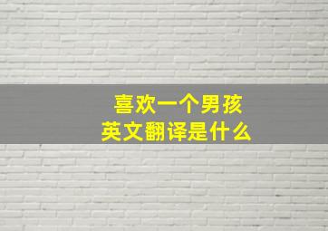 喜欢一个男孩英文翻译是什么