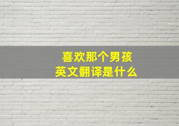 喜欢那个男孩英文翻译是什么