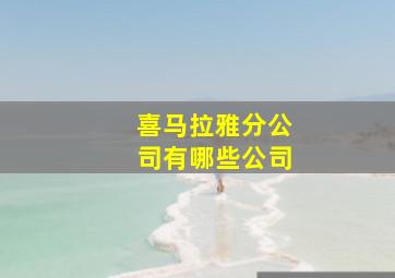 喜马拉雅分公司有哪些公司