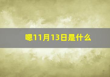 嗯11月13日是什么