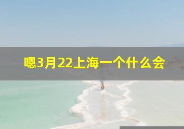 嗯3月22上海一个什么会