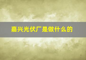 嘉兴光伏厂是做什么的