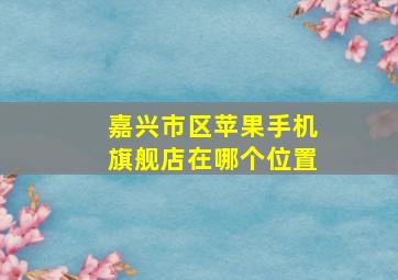 嘉兴市区苹果手机旗舰店在哪个位置