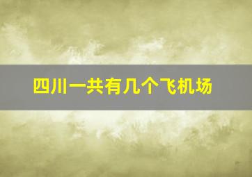 四川一共有几个飞机场