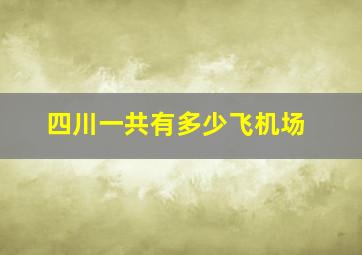 四川一共有多少飞机场