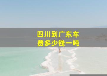 四川到广东车费多少钱一吨